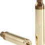 PETERSON UNPRIMED CASES - 300 RUM 50PACK 10BX/CS
