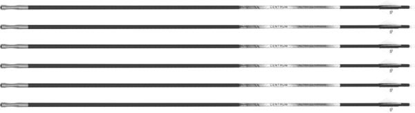 ALTRA ARROWS 204 CENTRUM - PREMIER 250 32" 6PK FLETCHED