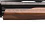 WINCHESTER SXP HIGH GRADE 12GA - 3" 26"VR WALNUT HIGH GLOSS