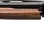 WINCHESTER SXP HIGH GRADE 12GA - 3" 26"VR WALNUT HIGH GLOSS