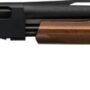 g512367390 WINCHESTER SXP YOUTH 12GA 3" - 24"VR MATTE BLACK WALNUT