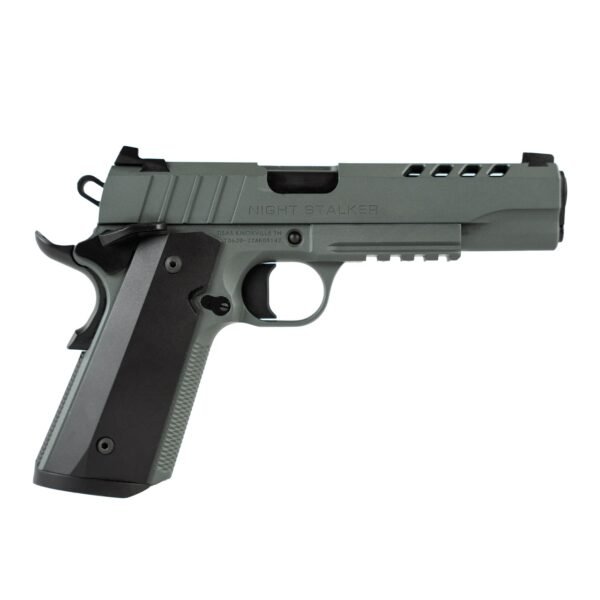 1010051279f1 TISAS 1911 NIGHT STALKER GRY 10MM