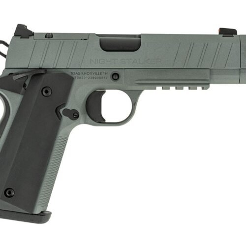 ti10100134f913 TISAS NIGHT STALKER COMP 10MM GRY