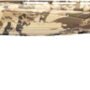 G018735205_1.jpg BROWNING CYNERGY SW 12GA 3.5" - 26" AURIC