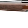 BROWNING X-BOLT 2 MEDALLION - 6.5CM 22" WALNUT/BLUED