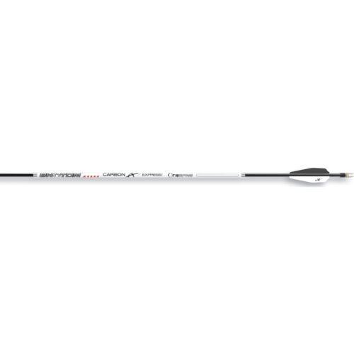Carbon Express Photon 4mm Arrows 300 6 pk.