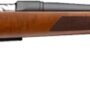 BROWNING AB3 PRO HUNTER 270 - WIN 22" BLUED DARK MAPLE