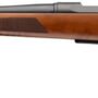 BROWNING AB3 PRO HUNTER 270 - WIN 22" BLUED DARK MAPLE