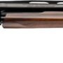 WINCHESTER SXP HG UPLAND FIELD - 12GA 3" 26"VR BLUED WALNUT