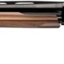 WINCHESTER SXP HG UPLAND FIELD - 12GA 3" 28"VR BLUED WALNUT