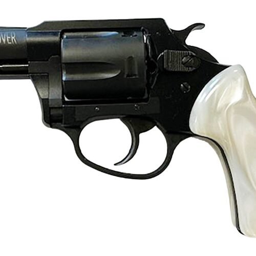 ch13822.jpg CHARTER ARMS UNDERCOVER LITE 38S BLK/PRL 2"
