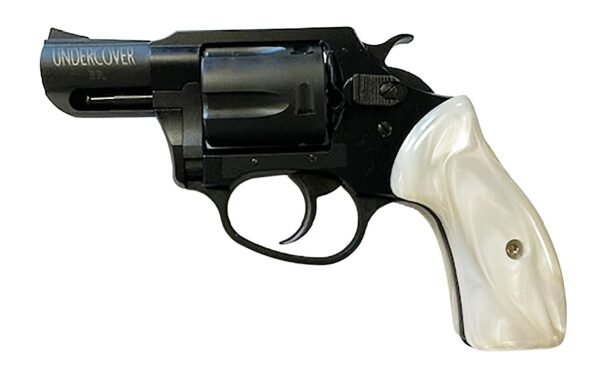 ch13822.jpg CHARTER ARMS UNDERCOVER LITE 38S BLK/PRL 2"