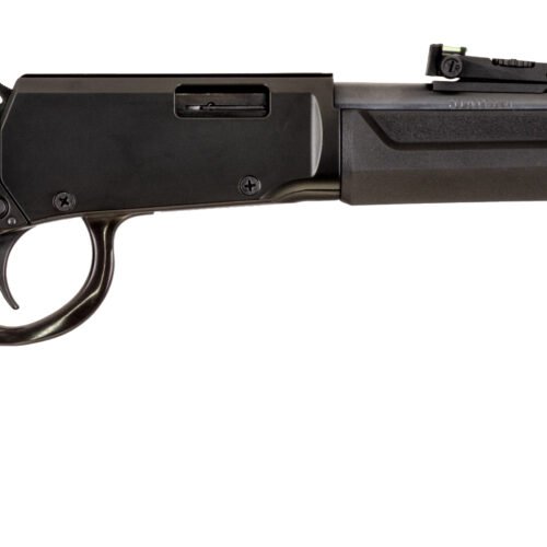 ROSSI RIO BRAVO 22WMR BK/SY 20"    #