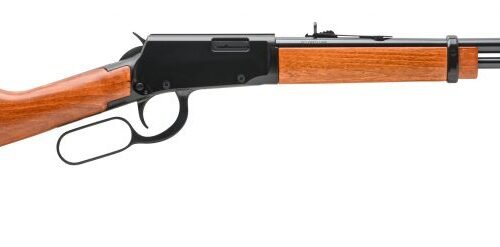 ROSSI RIO BRAVO 22WMR BL/WD 20"    #
