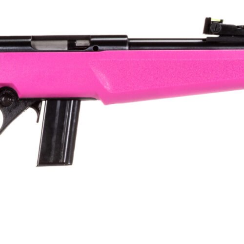 Rossi_RB22L1611P_R ROSSI RB22 22LR BLK/PINK 16.5" 10+1#