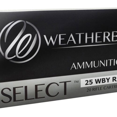 WEATHERBY 25WBY RPM 107GR HAMMER CUSTOM