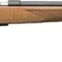 G025256202.jpg BROWNING T-BOLT SPORTER 22LR - 22" BLUED/IV MAPLE