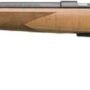 G025256202_LEFT.jpg BROWNING T-BOLT SPORTER 22LR - 22" BLUED/IV MAPLE