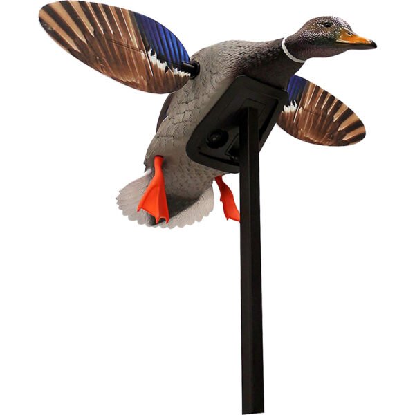 1001497_2.jpg Mojo Elite Series Mallard Decoy