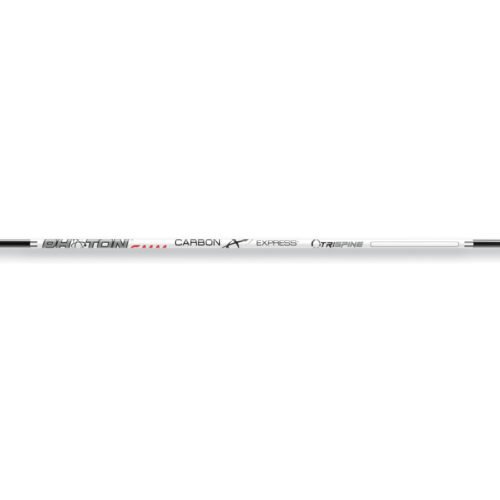Carbon Express Photon 6mm Shafts 300 1 doz.